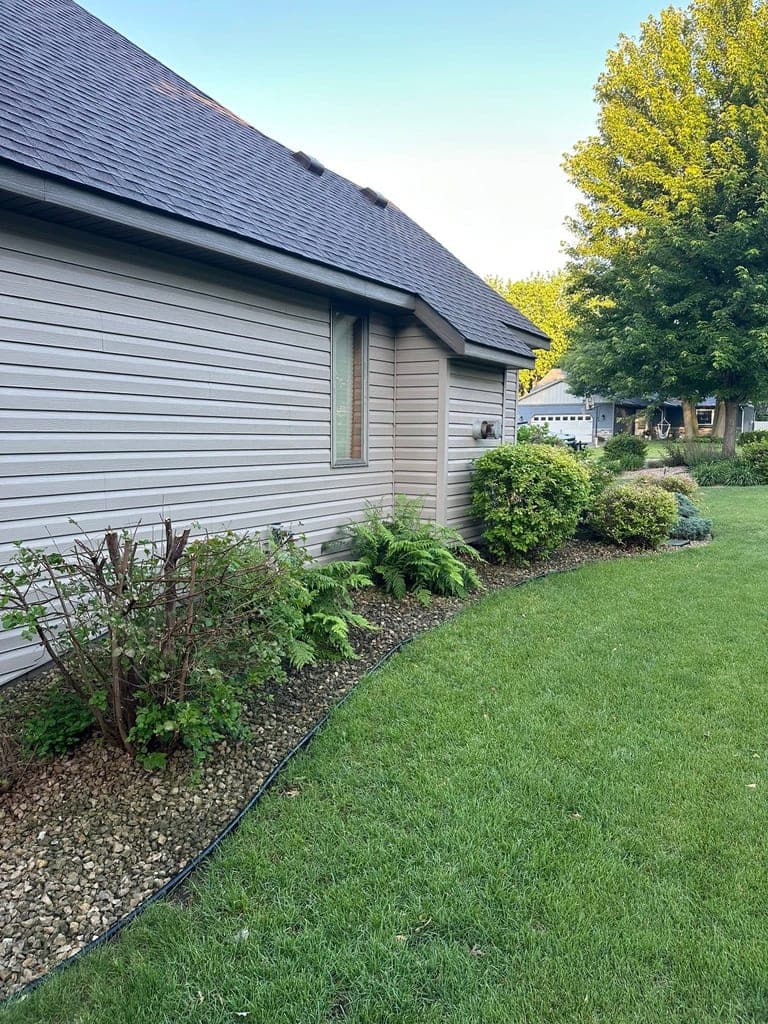 Gravel landscape bed with ferns and shrubs along the side of a home